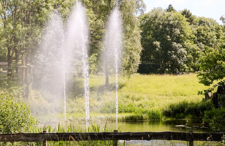 Ferienhaus Terrassenhaus im Harz mit Sauna, Pool & WLAN